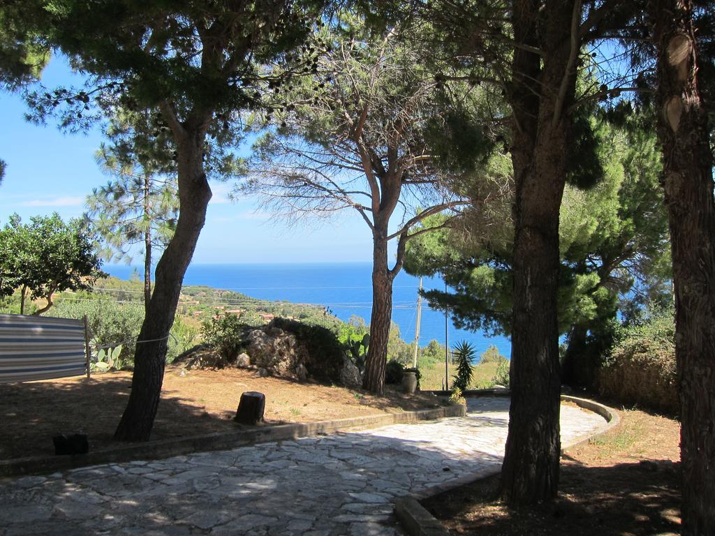 Palms Villa Scopello  Exterior photo